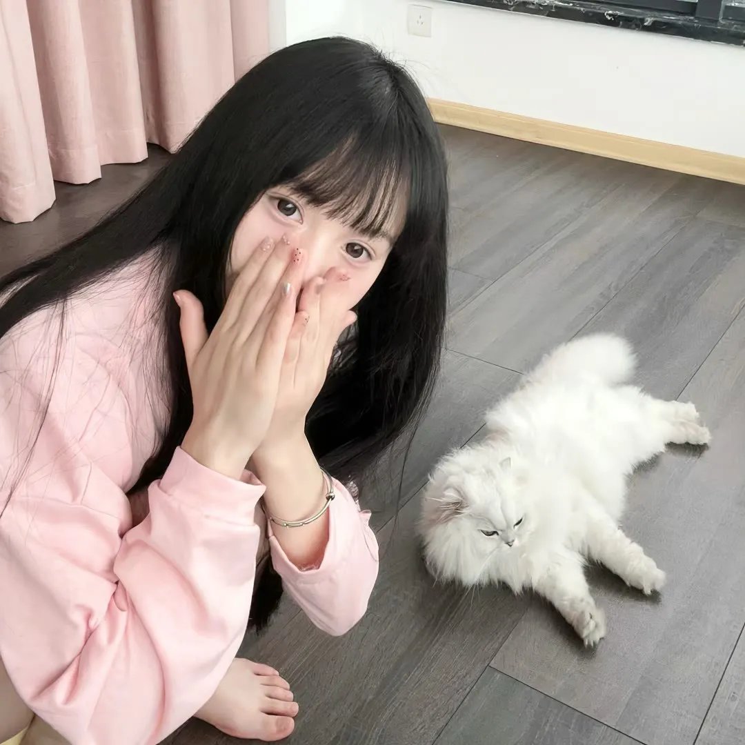 魔法使的新娘 西之少年与青岚的骑士