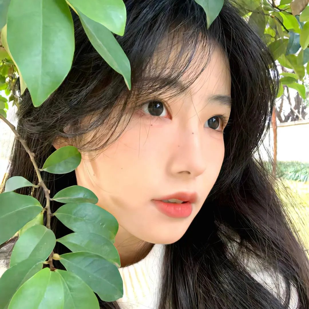 胖胖贵妃也倾城